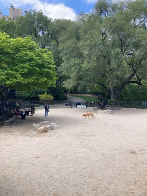 Dog Runs at Carl Schurz Park